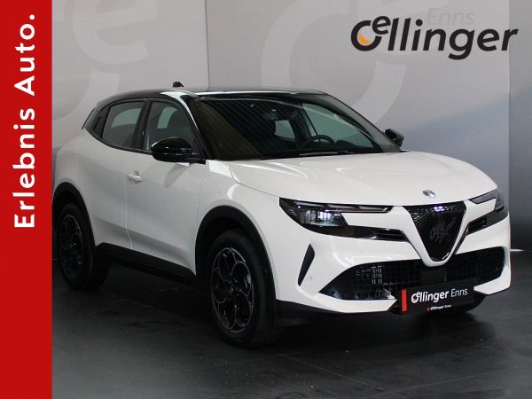 261785_1406636825695_slide_border bei öllinger in 