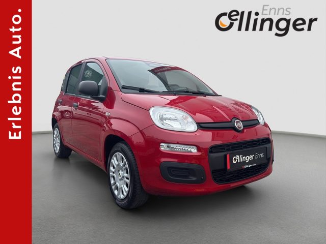 Fiat Panda Panda bei öllinger in 
